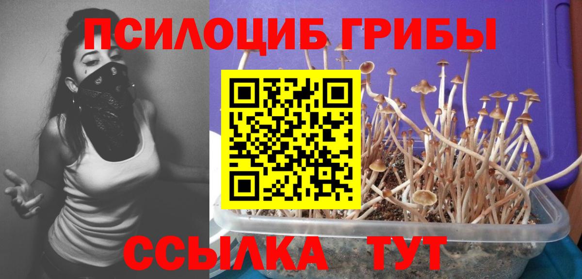 Азнакаево  Галлюциногенные грибы мицелий  Вход с VPN  Галлюциногенные грибы MAGIC MUSHROOMS 