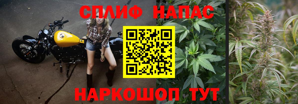 Каннабис OG Kush Азнакаево